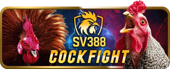 Hình ảnh hướng dẫn cách thắng lớn tại slots 555win55 win