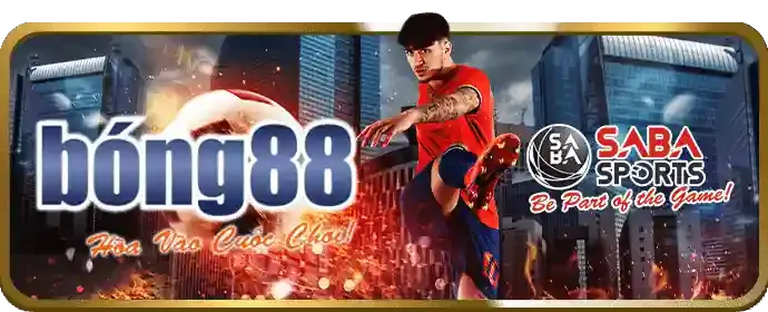 Hình ảnh hướng dẫn cá cược thể thao 555win55 win