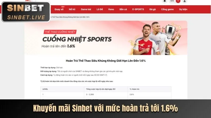 Mẹo Cá cược Thể thao Hiệu quả từ 555win55 win